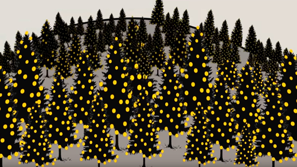 True Russia Episode 1