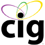 Consumer Insights Group (USA)